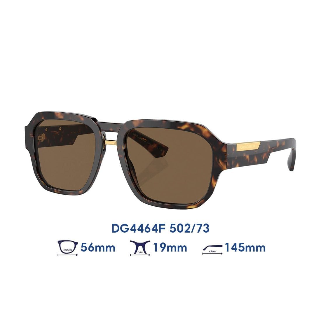 Kính mát Dolce & Gabbana DG4464F 502/73