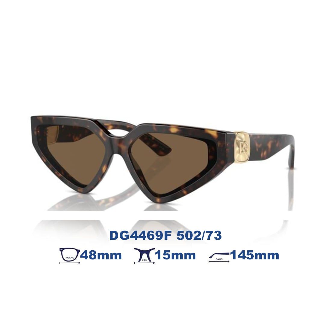  Kính mát Dolce Gabbana DG4469F 502/73 