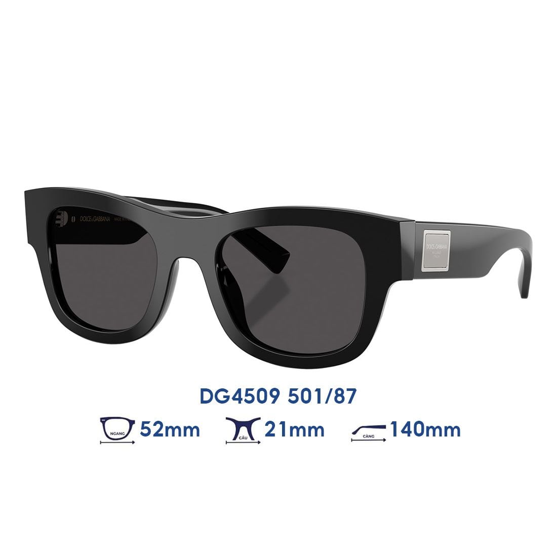 Kính mát Dolce & Gabbana DG4509 501/87