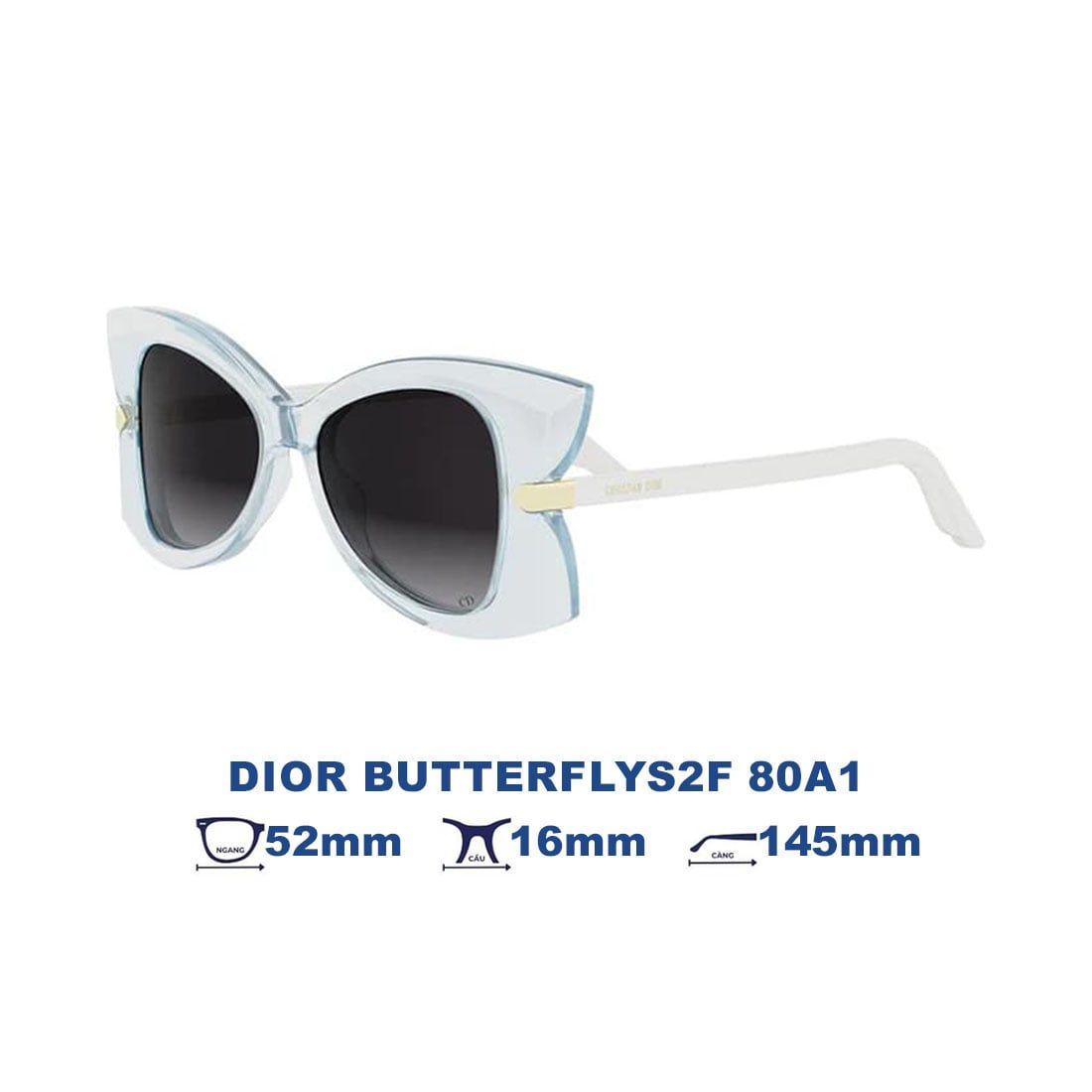 Kính mát DIOR DIORBUTTERFLYS2F 80A1