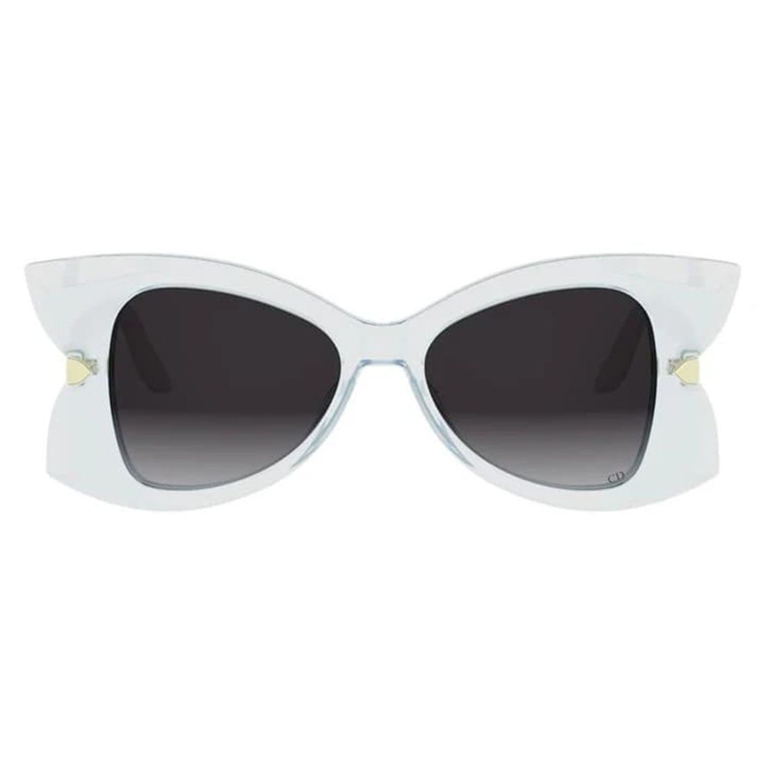 Kính mát DIOR DIORBUTTERFLYS2F 80A1