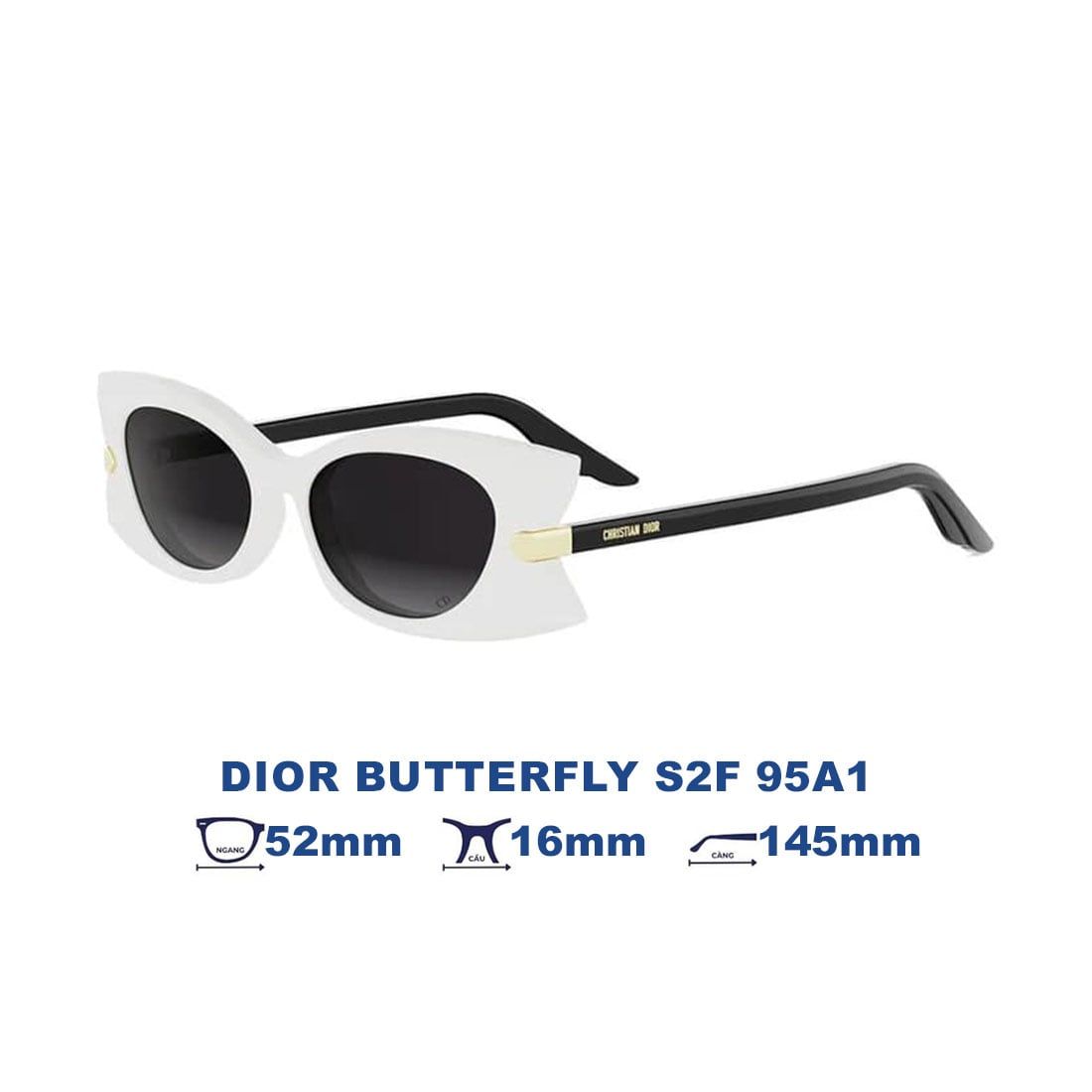 Kính mát DIOR DIOR BUTTERFLY S2F 95A1