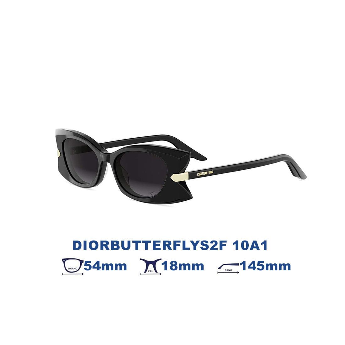 Kính mát DIOR DIORBUTTERFLYS2F 10A1