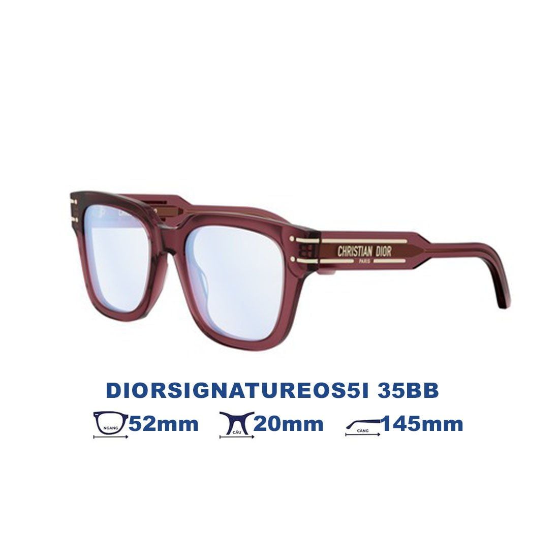 Kính mát DIOR DIORSIGNATUREOS5I 35BB