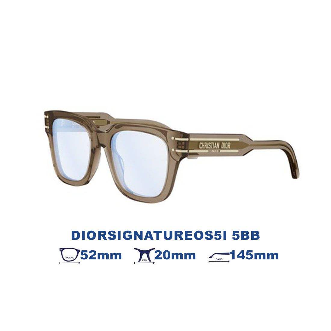 Kính Mát DIOR DIORSIGNATUREOS5I 55BB
