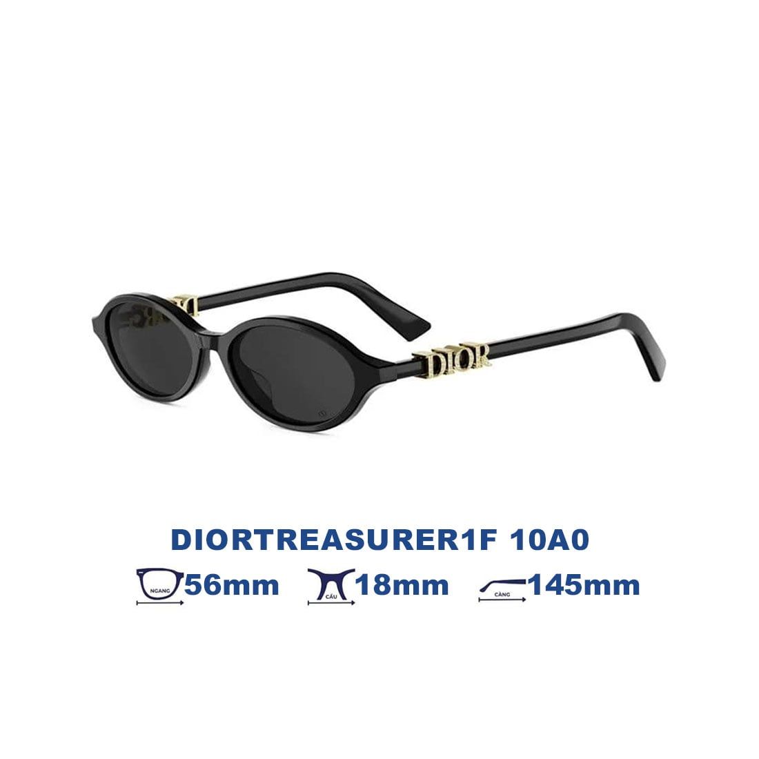 Kính mát DIOR DIORTREASURER1F 10A0