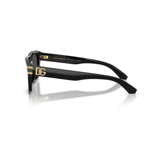 Kính mát Dolce & Gabbana DG4496 501/87