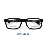 Gọng kính EXFASH EF31441