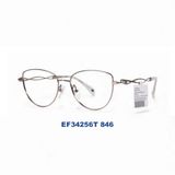 Gọng kính EXFASH EF34256T