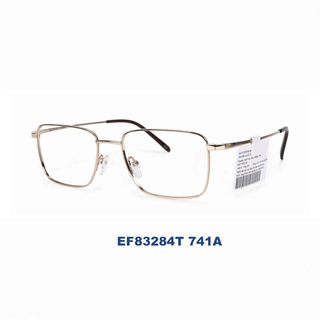 Gọng kính EXFASH EF83284T