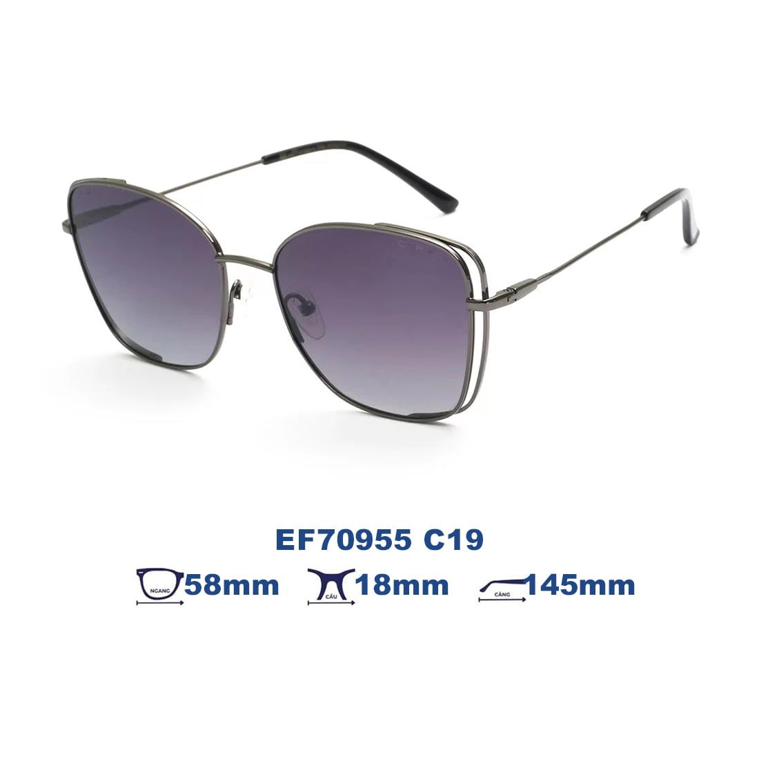 Kính mát EXFASH EF70955 C19