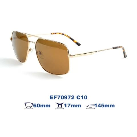 Kính mát EXFASH EF70972 C10