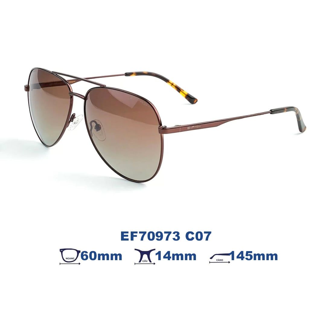 Kính mát EXFASH EF70973 C07
