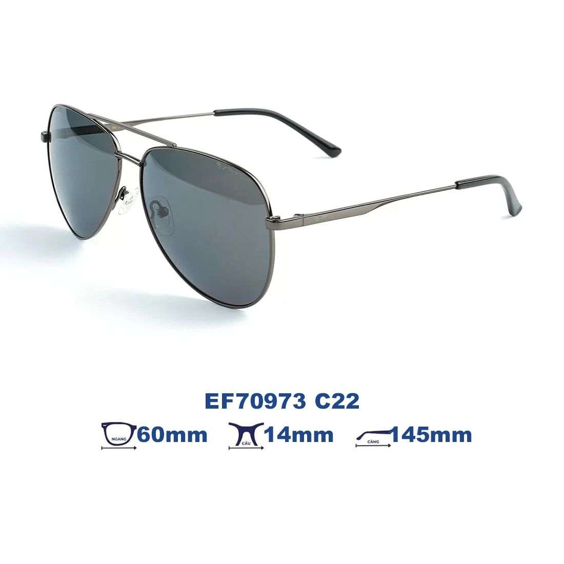 Kính mát EXFASH EF70973 C22