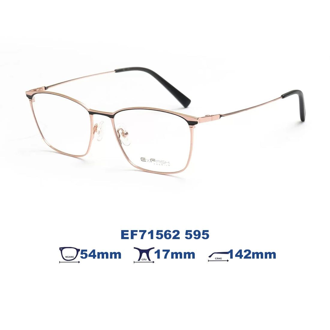 Gọng kính EXFASH EF71562 595