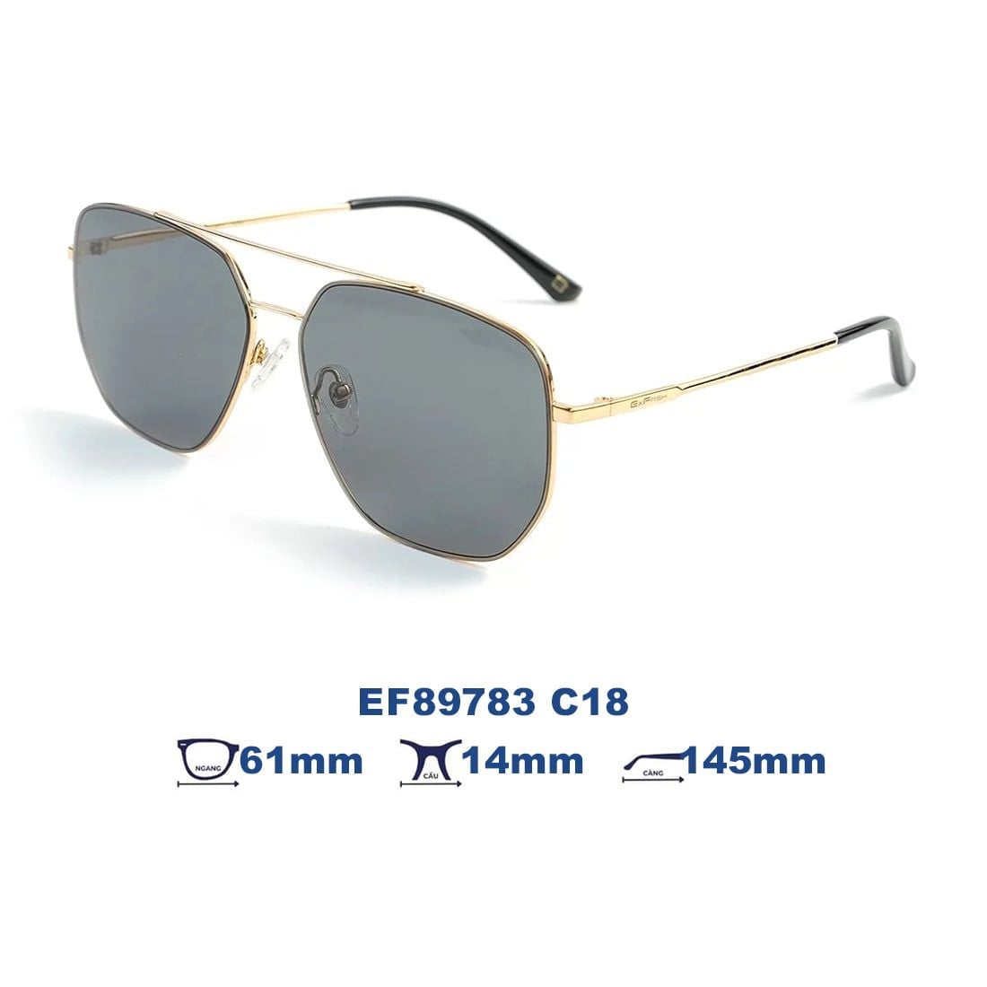 Kính mát EXFASH EF89783 C18