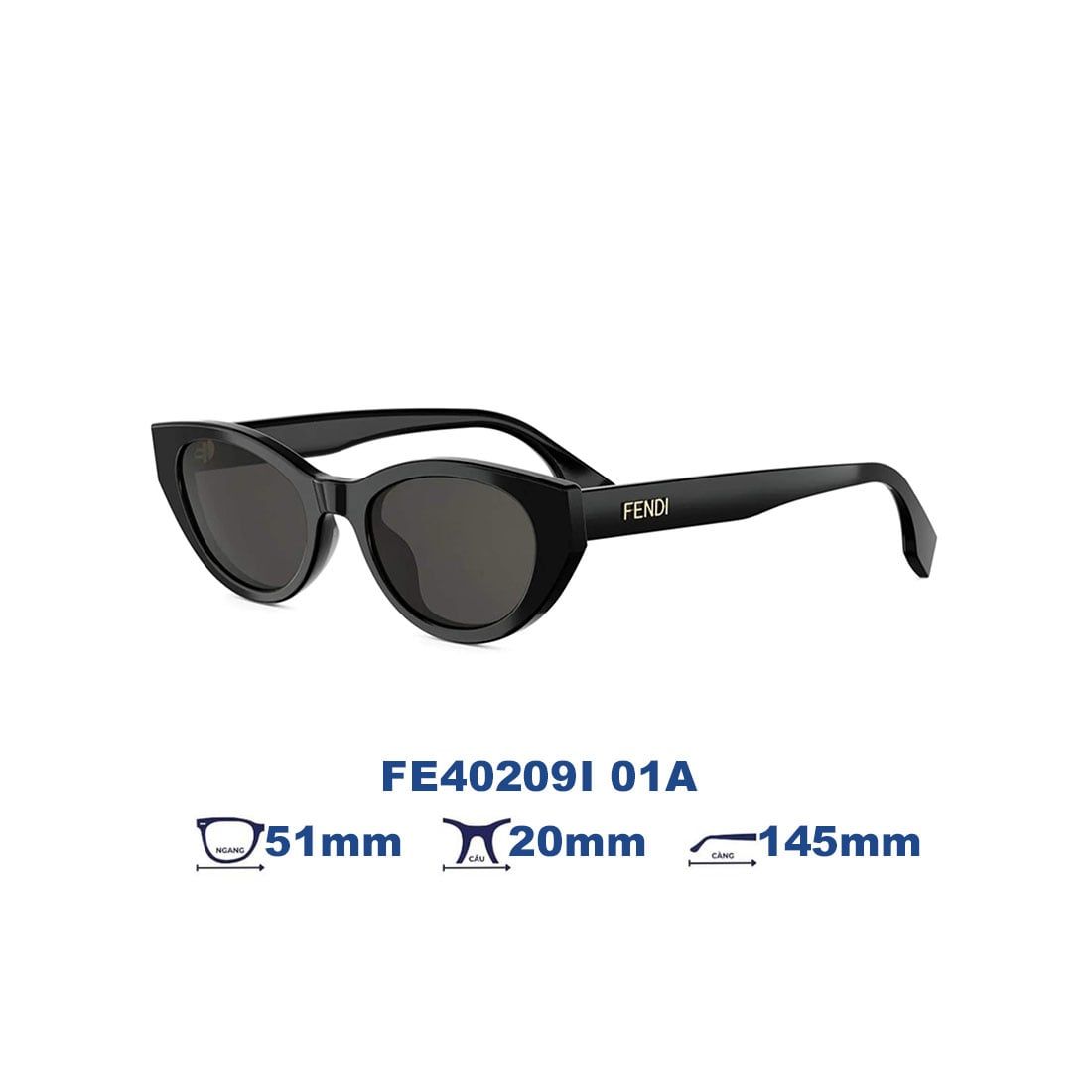 Kính Mát FENDI FE40209I 01A