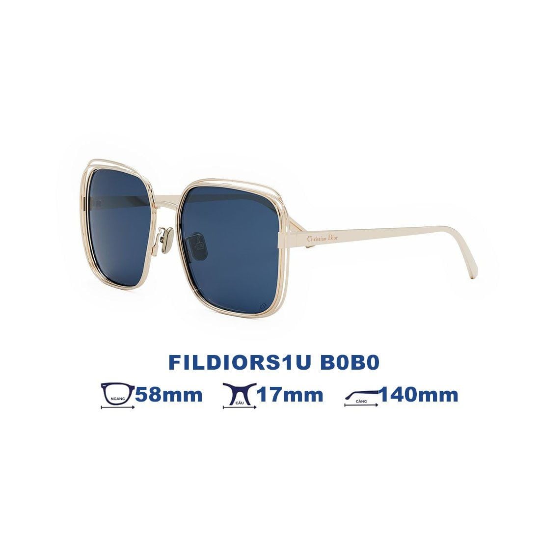  Kính mát DIOR FILDIORS1U B0B0 