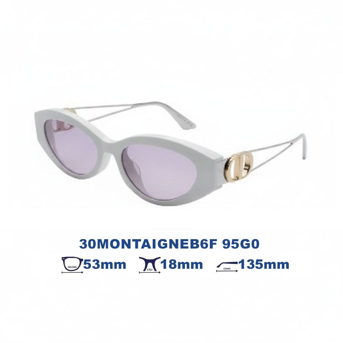 Kính mát DIOR 30MONTAIGNEB6F 95G0