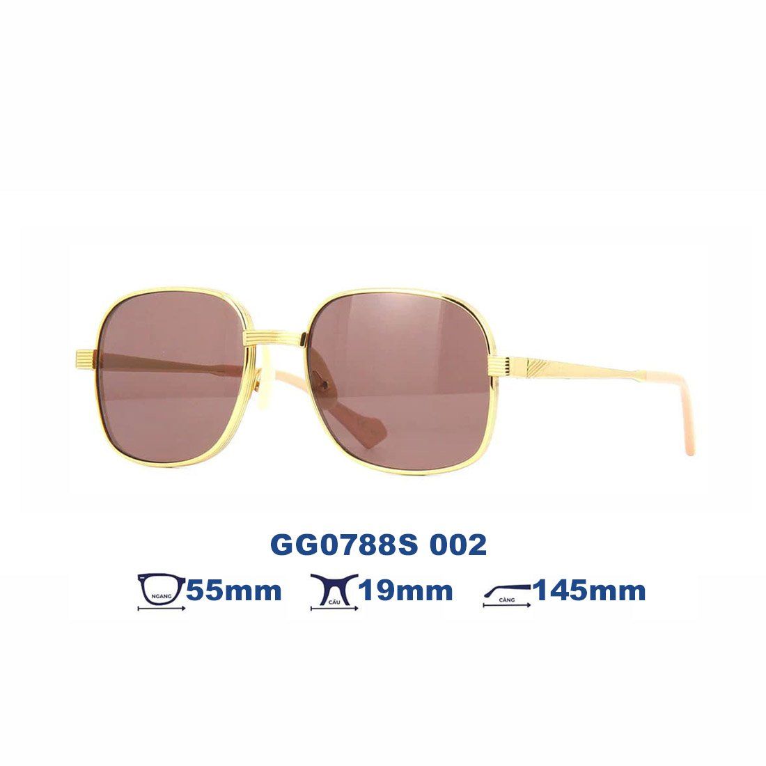  Kính mát GUCCI GG0788S 002 