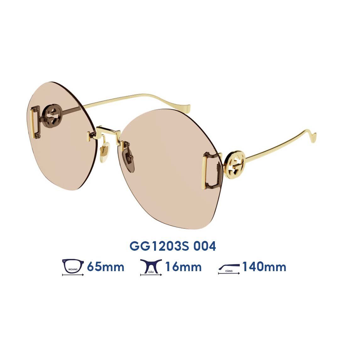  Kính mát GUCCI GG1203S 004 