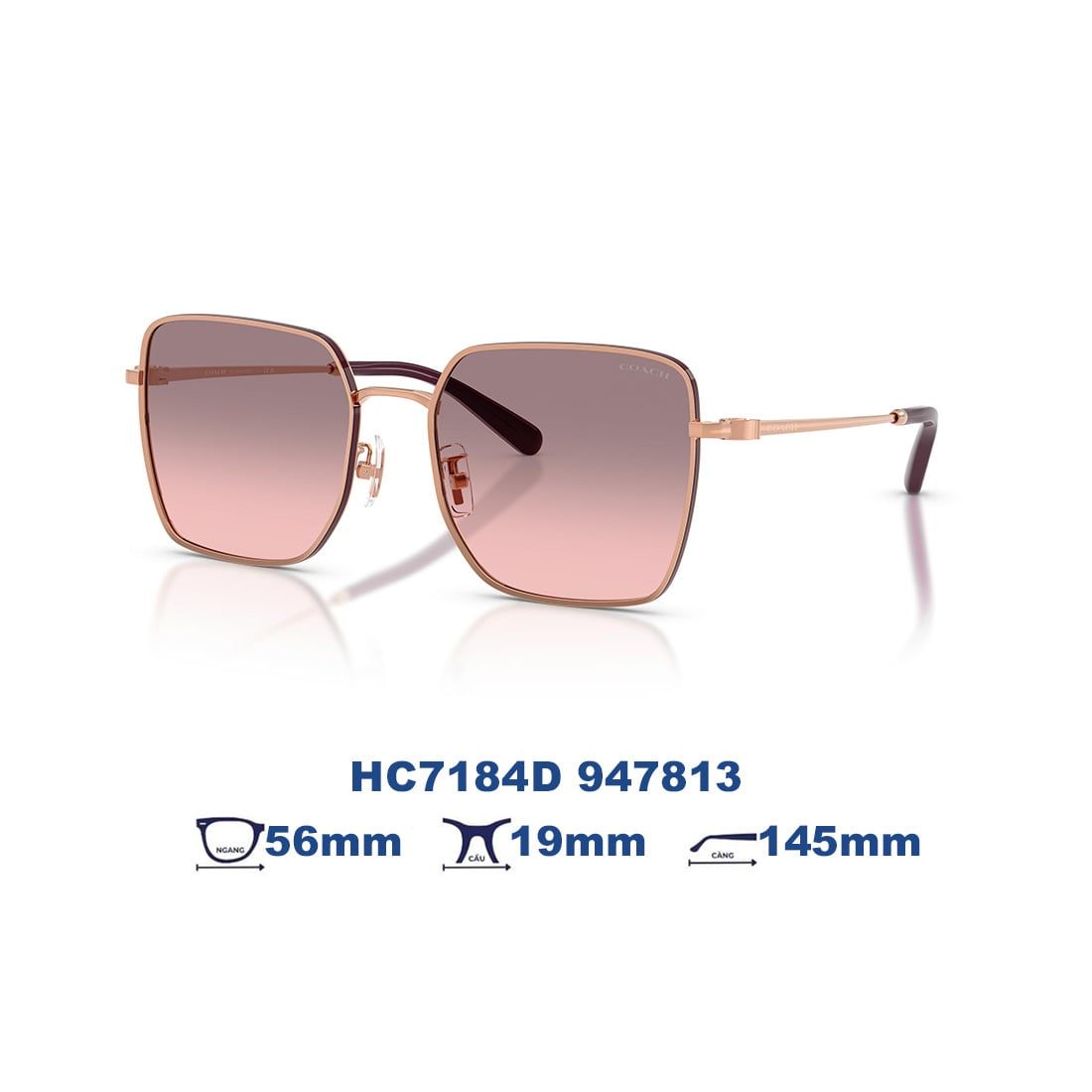 Kính mát Coach HC7184D 947813