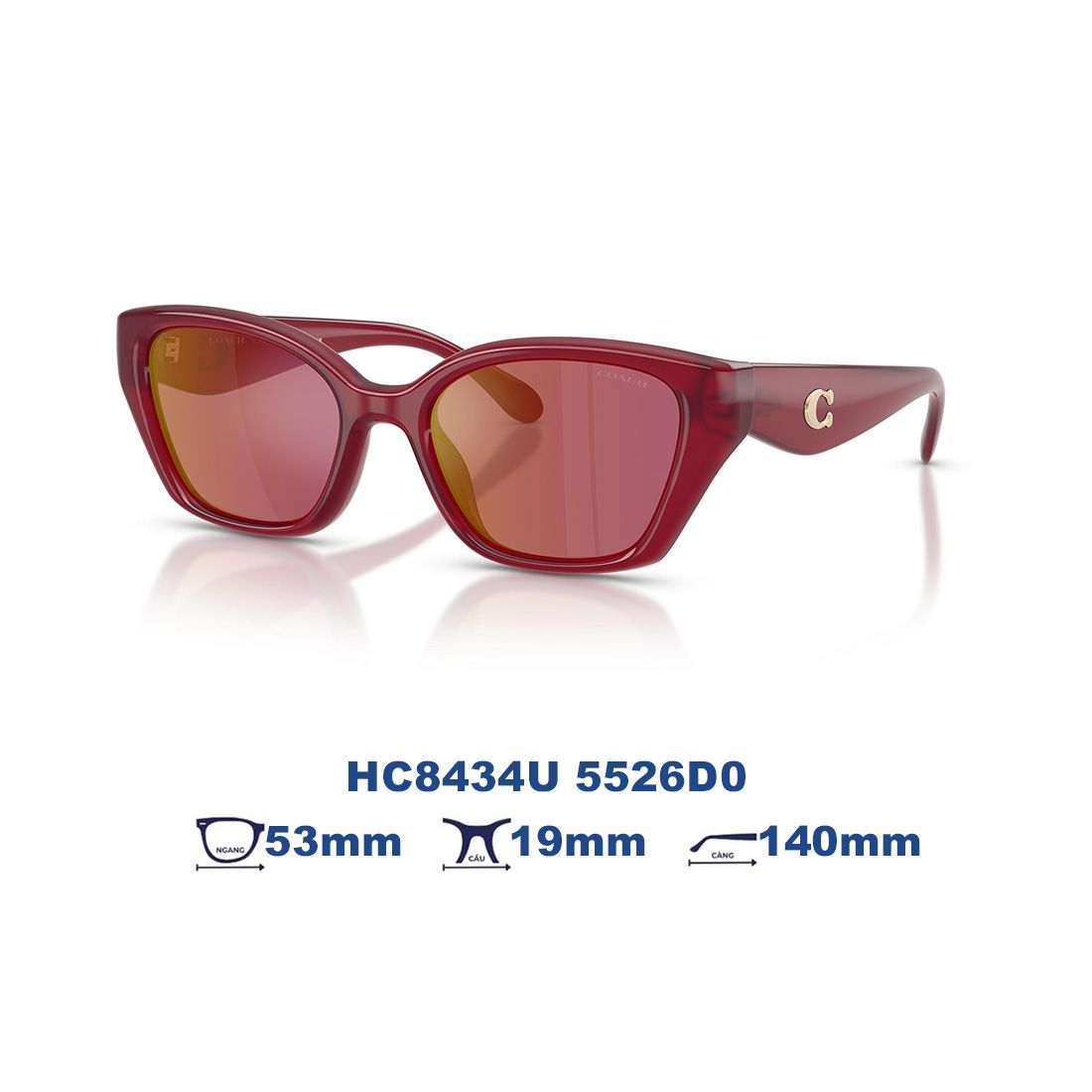  Kính mát Coach HC8434U 5526D0 