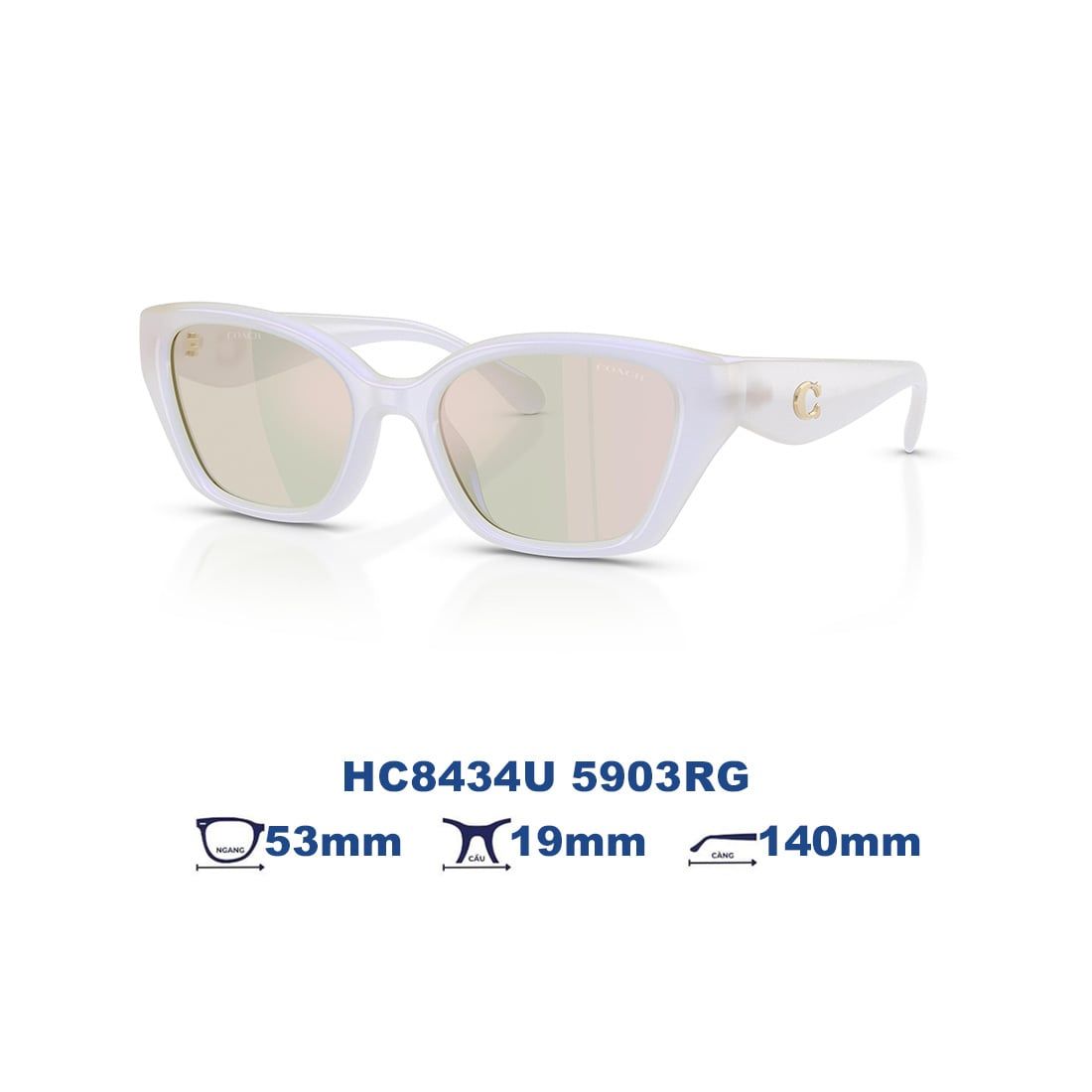 Kính mát Coach HC8434U 5903RG
