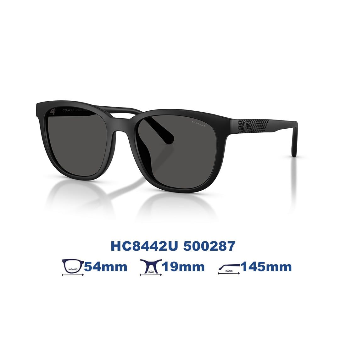  Kính mát Coach HC8442U 500287 