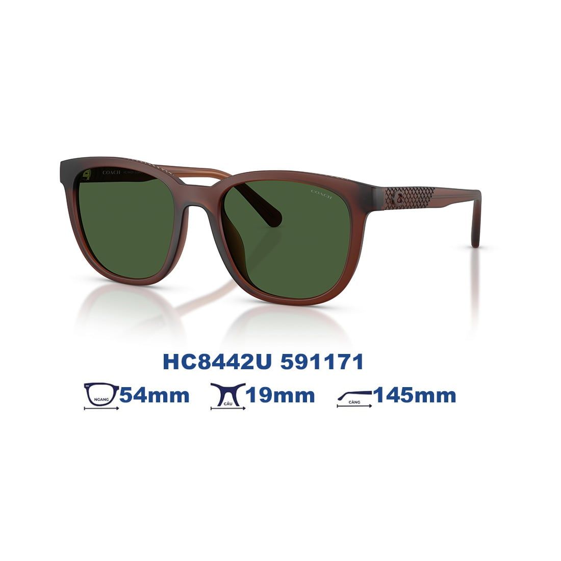  Kính mát Coach HC8442U 591171 