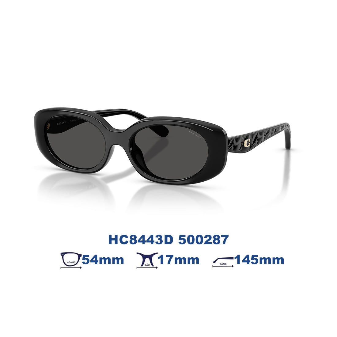  Kính mát Coach HC8443D 500287 