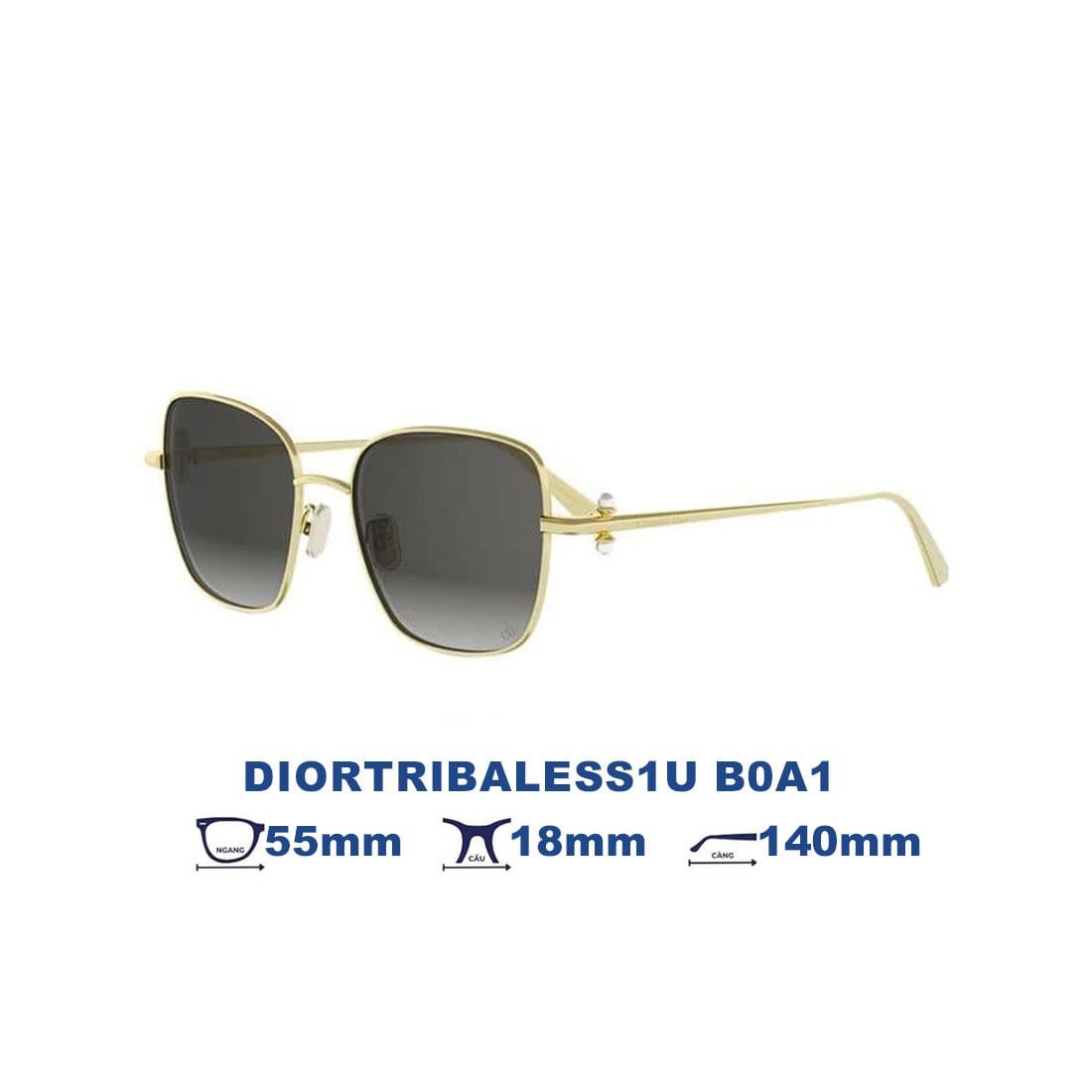 Kính mát DIOR DIORTRIBALESS1U B0A1