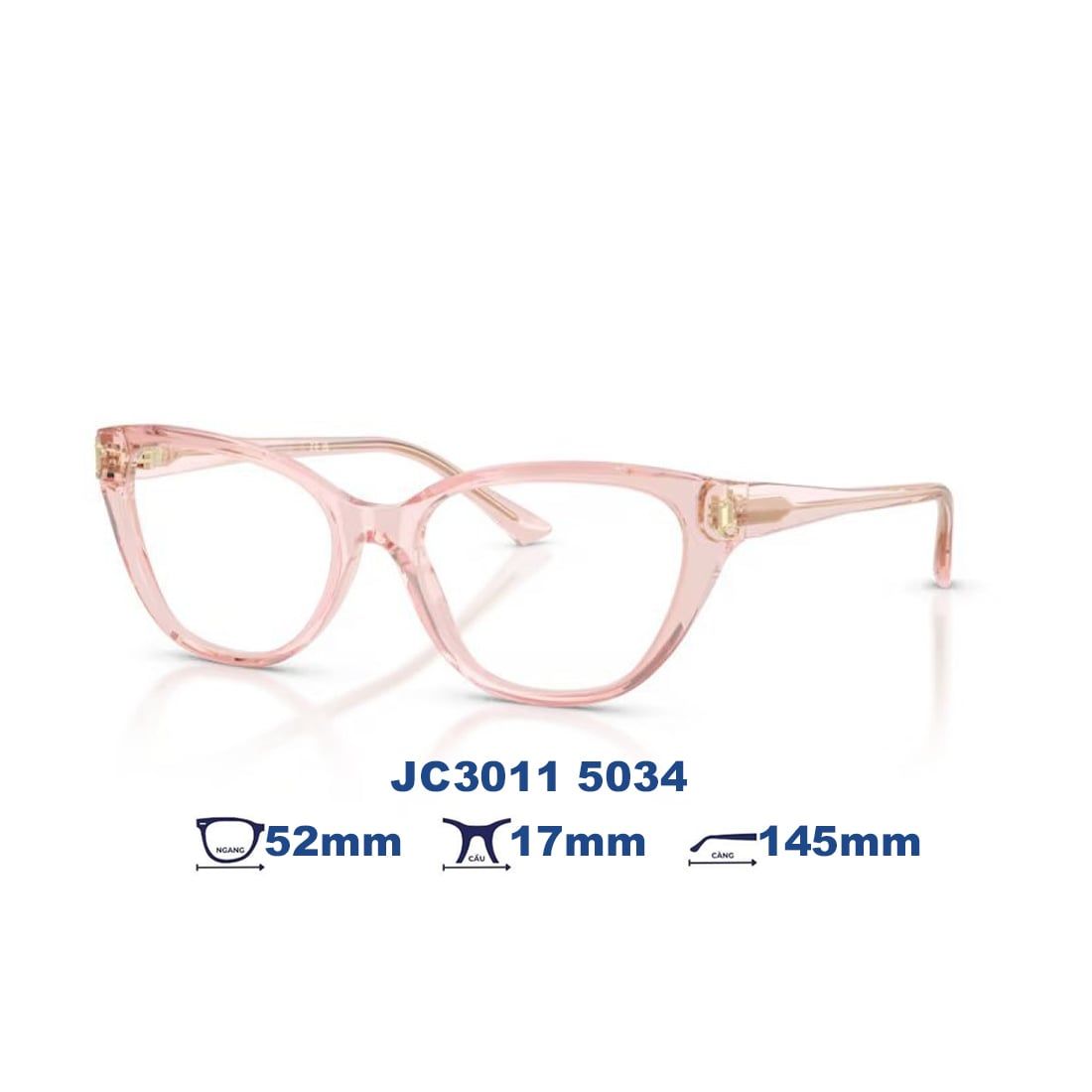  Gọng kính JIMMY CHOO JC3011 5034 