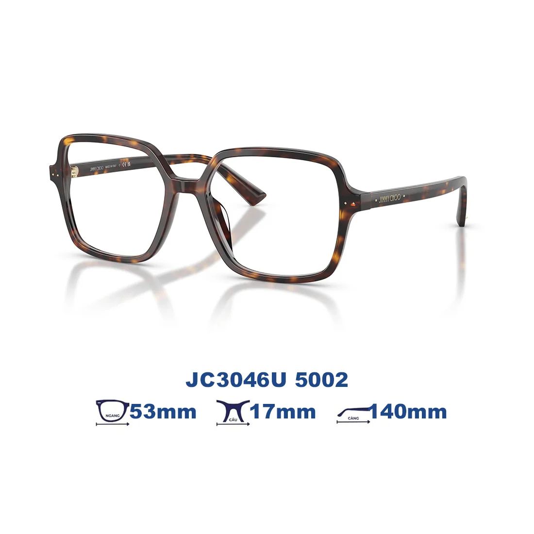Kính mát Jimmy Choo JC3046U 5002 - Nâu đồi mồi