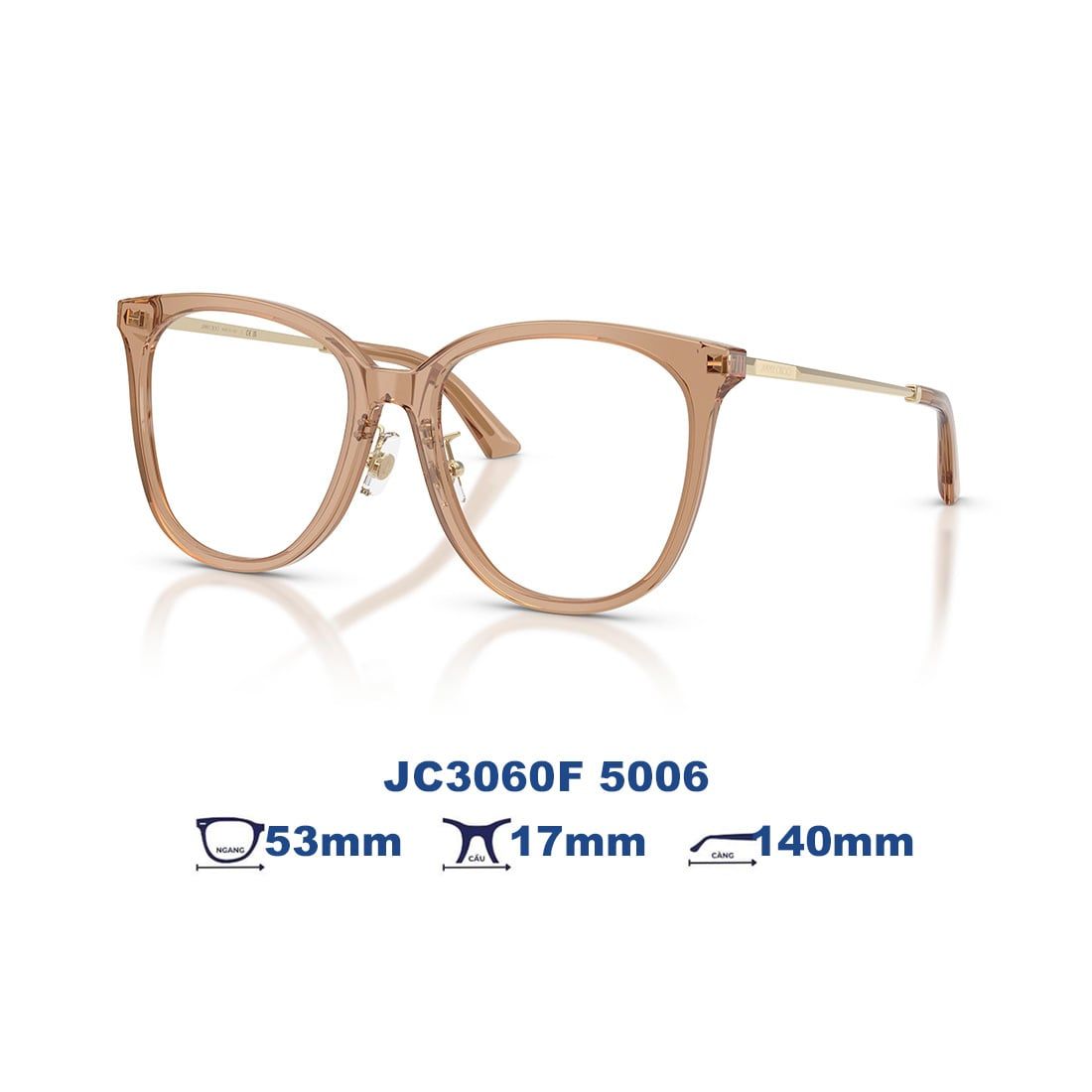 Gọng kính JIMMY CHOO JC3060F 5006