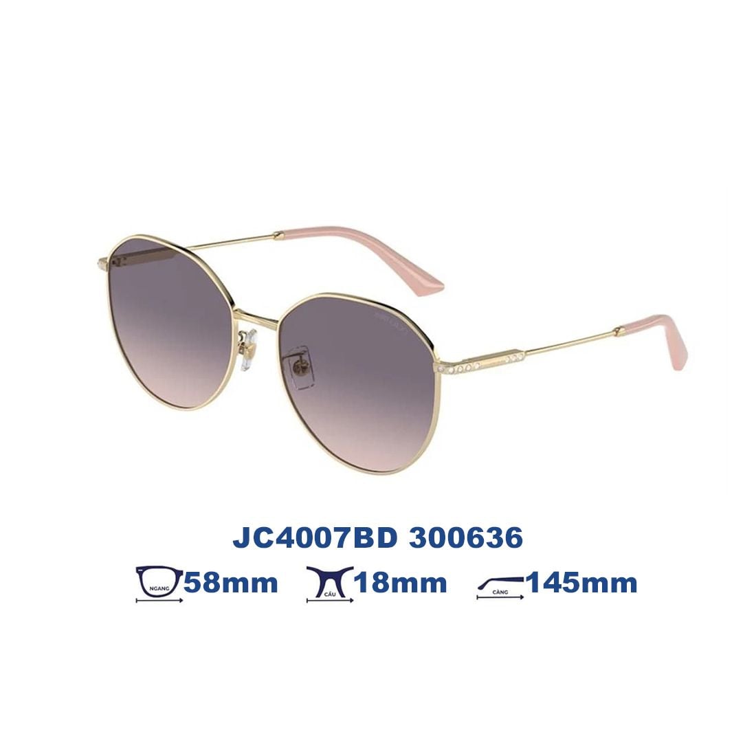  Kính mát JIMMY CHOO JC4007BD 300636 
