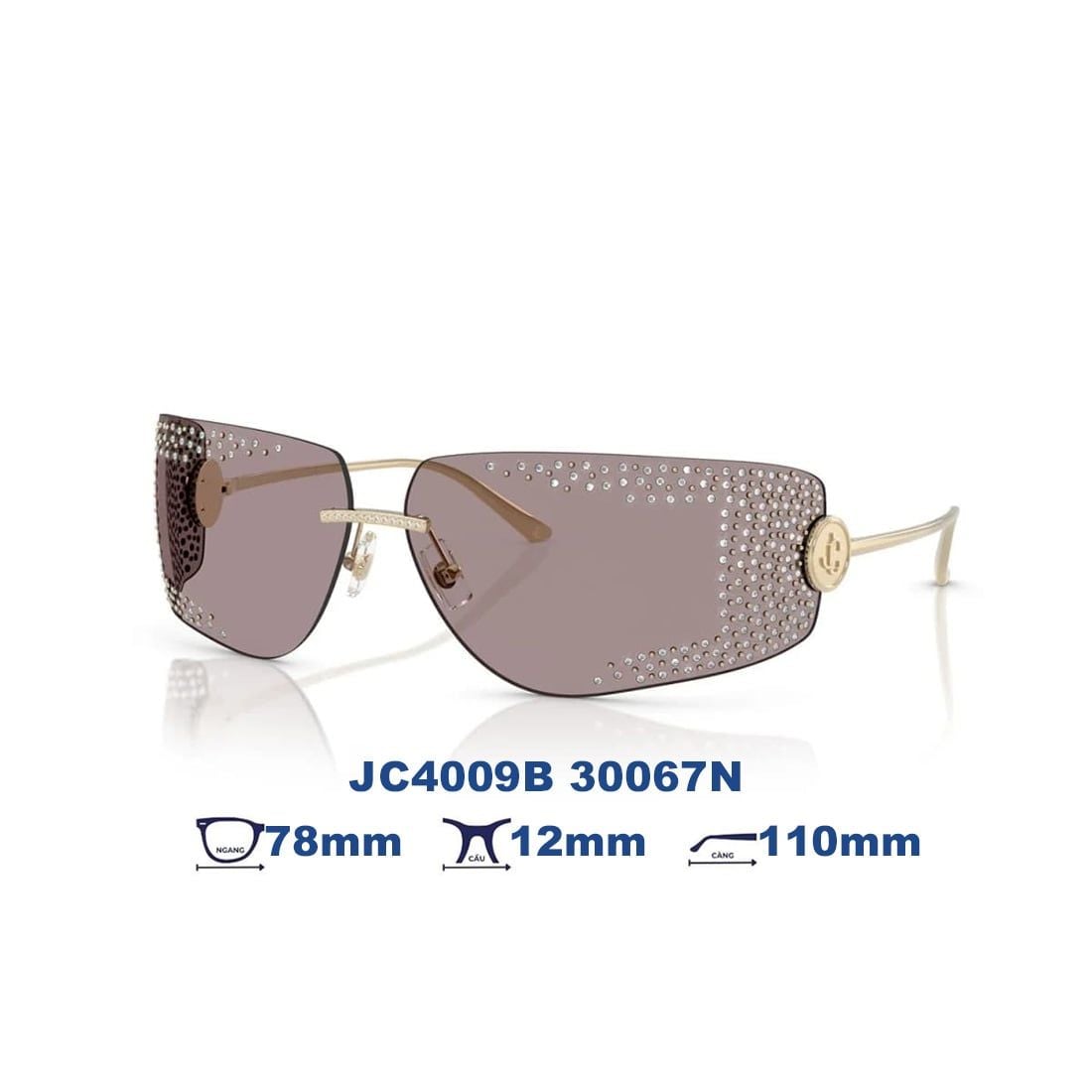  Kính mát JIMMY CHOO JC4009B 30067N 
