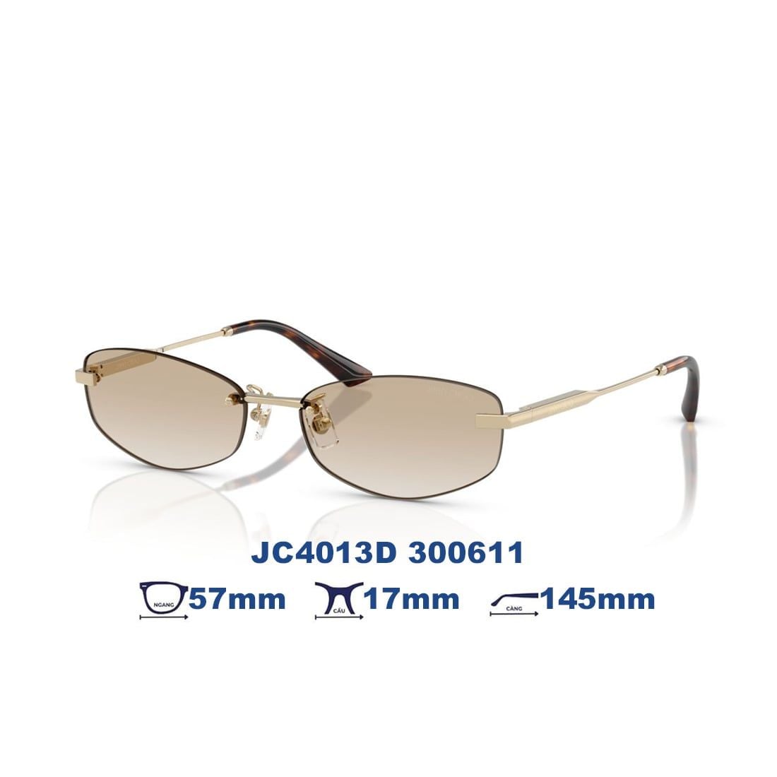 Kính mát JIMMY CHOO JC4013D 300611 