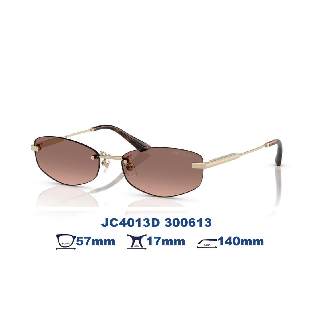  Kính mát JIMMY CHOO JC4013D 300613 