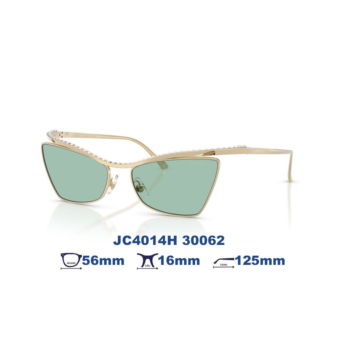  Kính mát JIMMY CHOO JC4014H 3006/2 