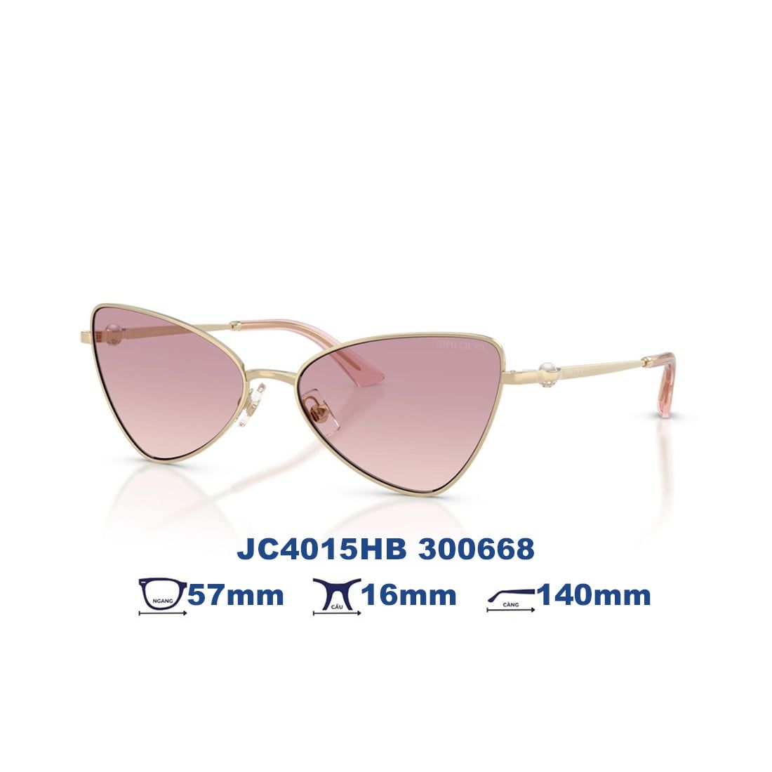  Kính mát JIMMY CHOO JC4015HB 300668 