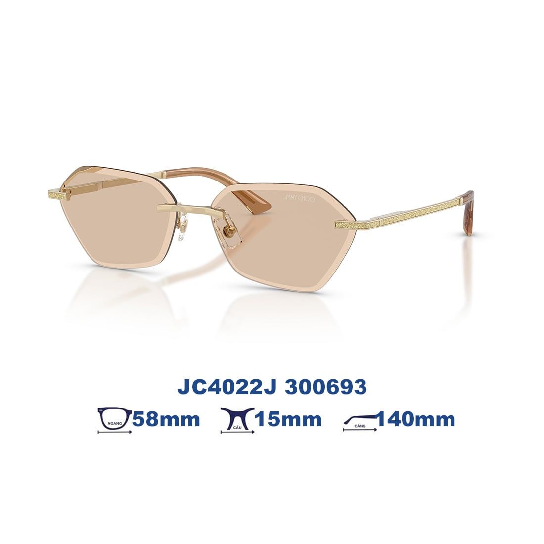  Kính mát JIMMY CHOO JC4022J 300693 