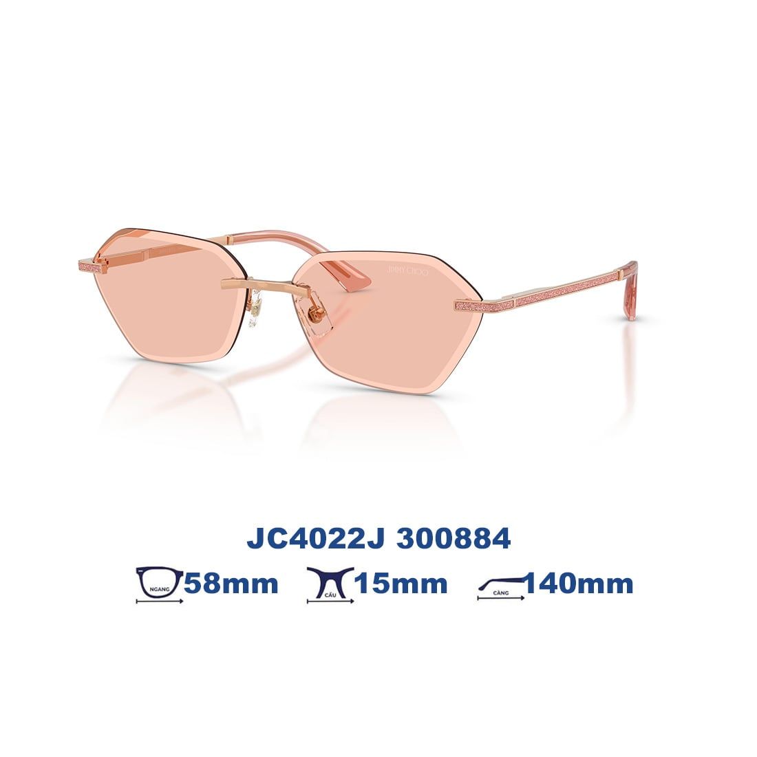  Kính mát JIMMY CHOO JC4022J 300884 