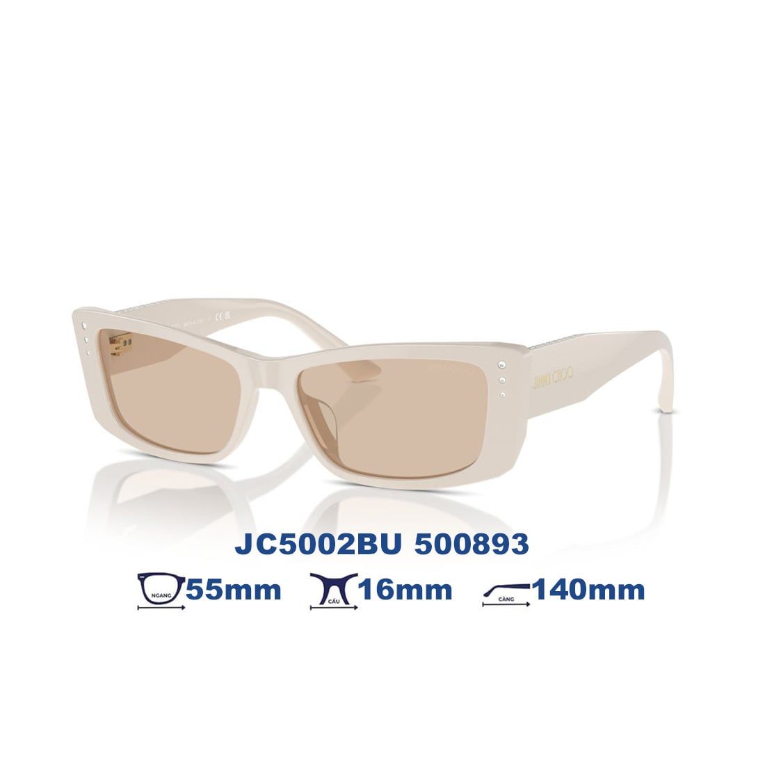  Kính mát JIMMY CHOO JC5002BU 500893 