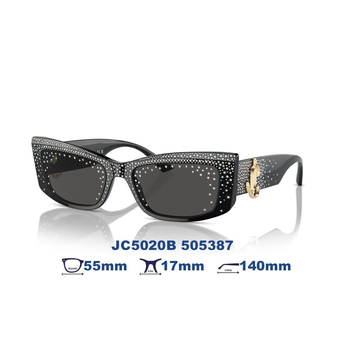  Kính mát JIMMY CHOO JC5020B 505387 