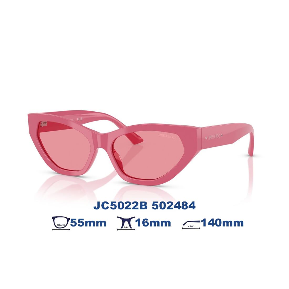  Kính mát JIMMY CHOO JC5022B 502484 