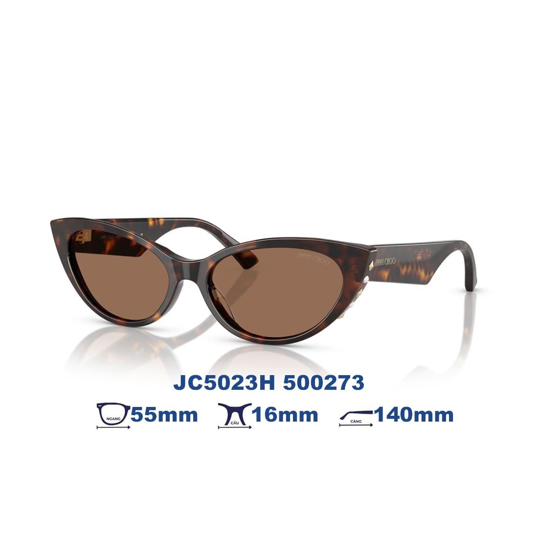  Kính mát JIMMY CHOO JC5023H 500273 