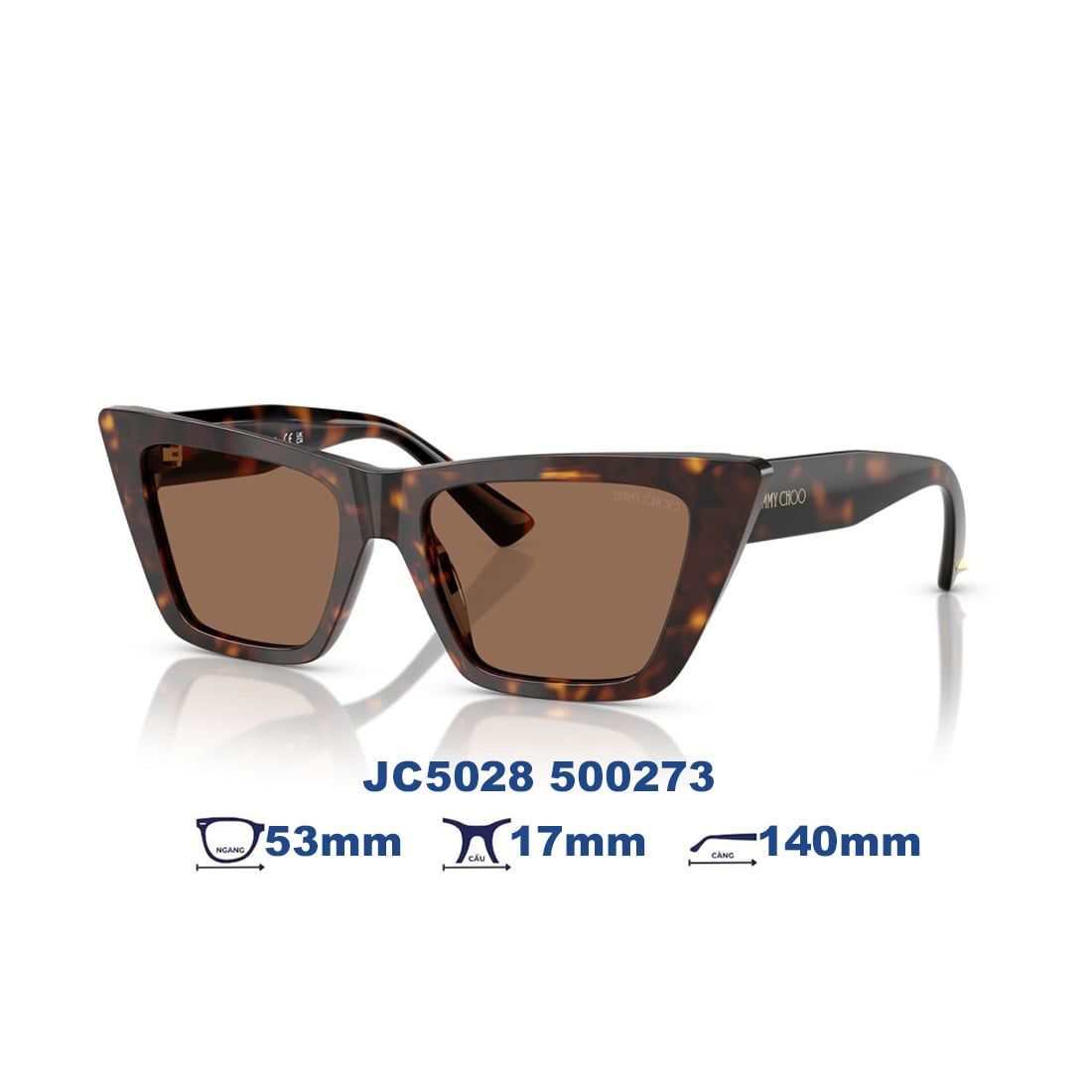  Kính mát JIMMY CHOO JC5028 500273 