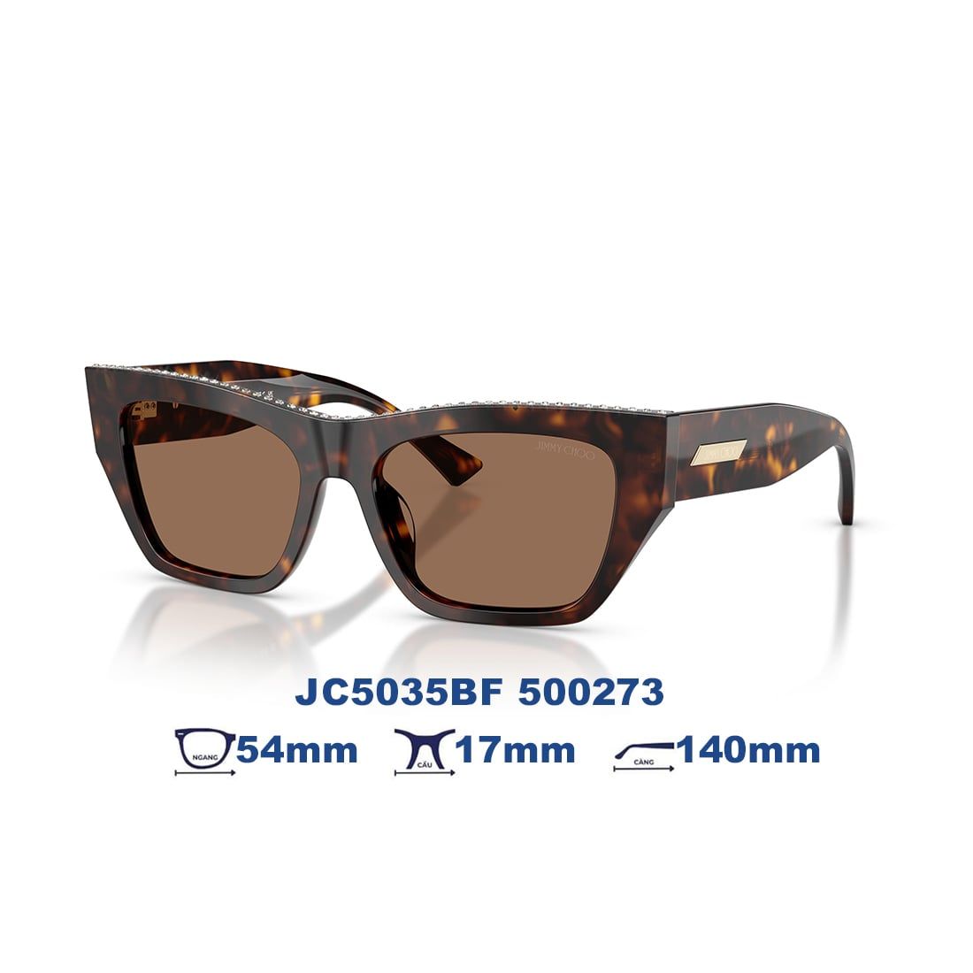  Kính mát JIMMY CHOO JC5035BF 500273 