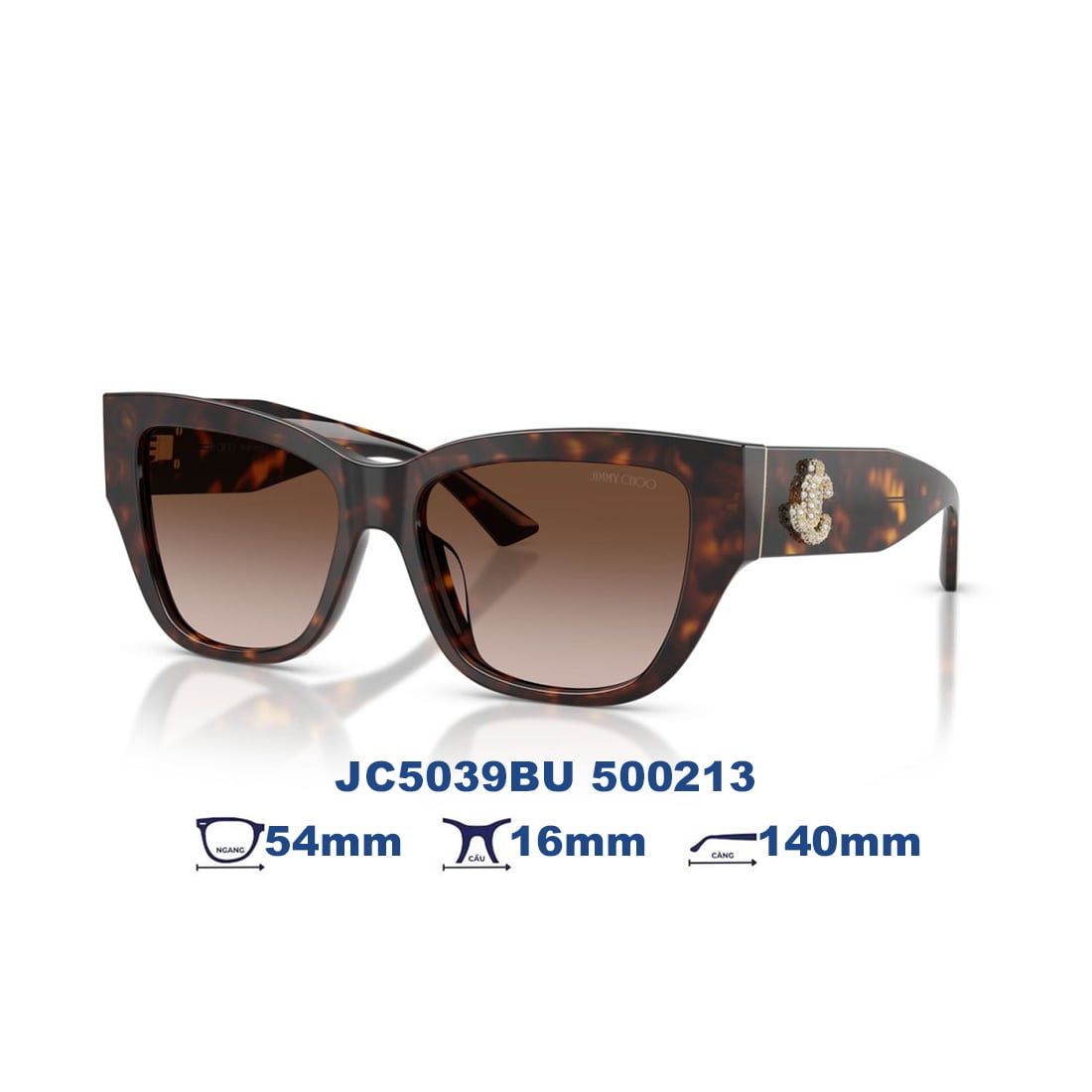  Kính mát JIMMY CHOO JC5039BU 500213 